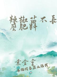 辣椒苗不长施什么肥料 辣椒苗不长施什么肥料