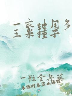 一亩地用多少斤玉米种子