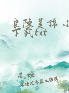 良陈美锦 小说下载txt
