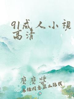 91成人小视频高清
