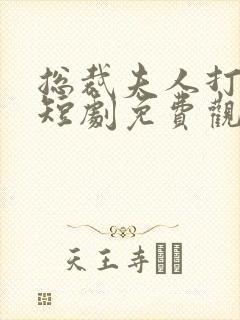 总裁夫人打工记短剧免费观看全集