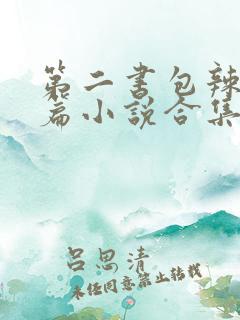 第二书包辣网短篇小说合集
