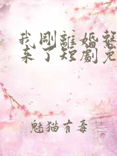 我刚离婚系统就来了短剧免费观看