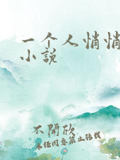 一个人悄悄看的小说