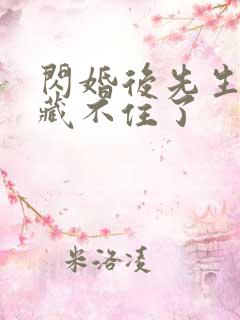 闪婚后先生马甲藏不住了