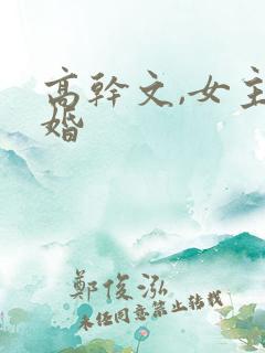高干文,女主二婚
