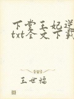 下堂王妃逆袭记txt全文下载