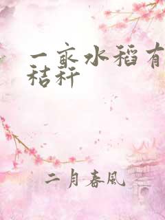 一亩水稻有多少秸秆