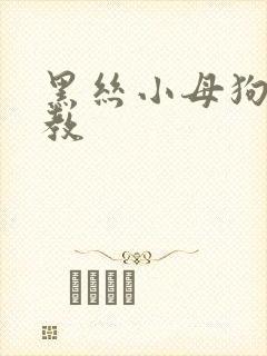 黑丝小母狗被调教