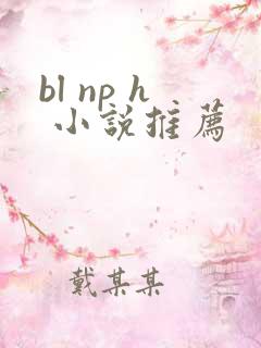 bl np h 小说推荐