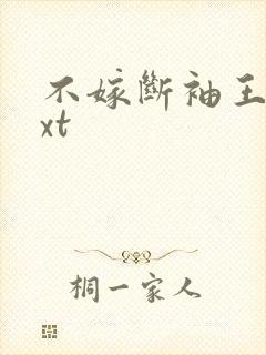 不嫁断袖王爷txt