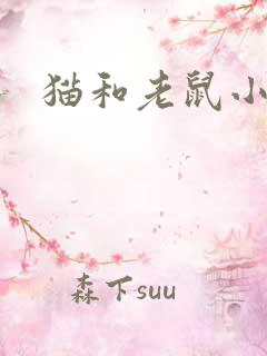 猫和老鼠小说