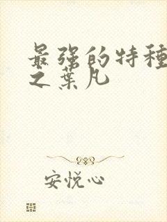 最强的特种兵王之叶凡