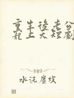 重生后老公把我宠上天短剧