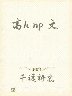 高h np 文