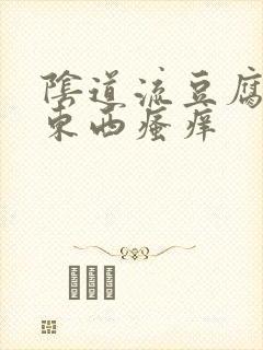 阴道流豆腐渣的东西瘙痒