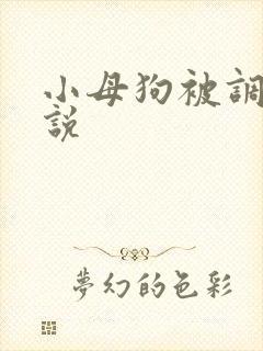 小母狗被调教小说