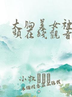 大胸美女被c视频在线观看