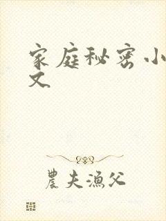 家庭秘密小说全文