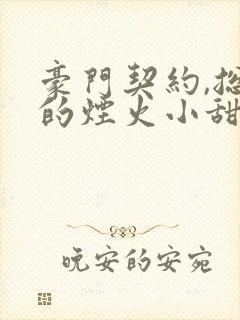豪门契约,总裁的烟火小甜妻
