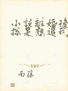 小说离婚后前夫总是想追我免费下载