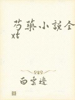 芍药小说全文txt