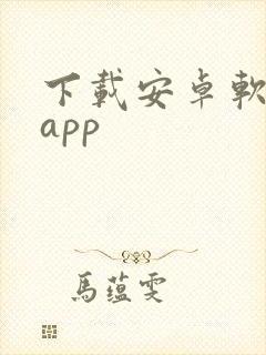下载安卓软件的app