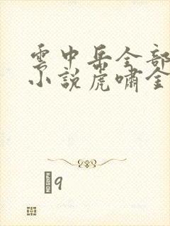 云中岳全部武侠小说虎啸金陵