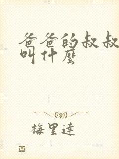 爸爸的叔叔老婆叫什么