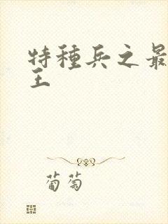 特种兵之最强兵王