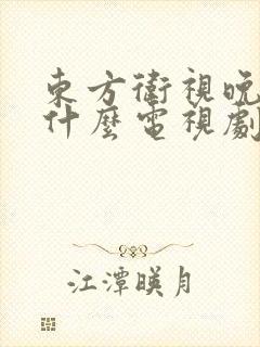 东方卫视晚上演什么电视剧