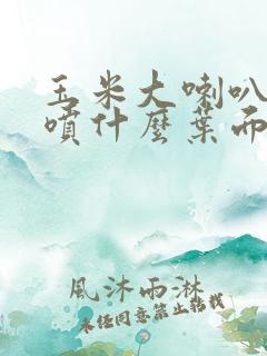 玉米大喇叭口期喷什么叶面肥