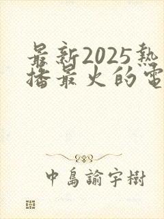 最新2025热播最火的电视剧