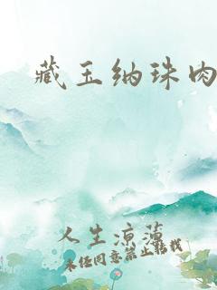 藏玉纳珠肉肉