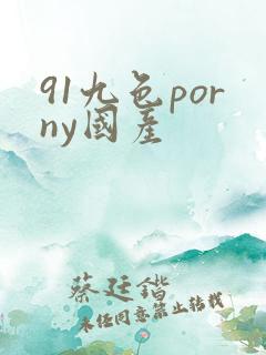 91九色porny国产