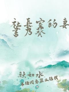 社长室的妻子秘书乃葵