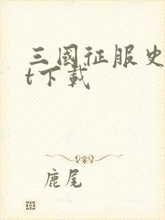 三国征服史txt下载