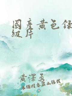 国产黄色录像一级片
