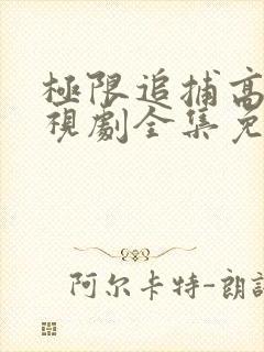 极限追捕高清电视剧全集免费观看