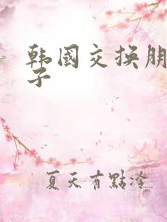 韩国交换朋友妻子