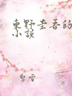 东野圭吾的悬疑小说 东野圭吾的悬疑小说