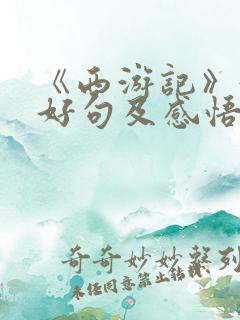 《西游记》好词好句及感悟