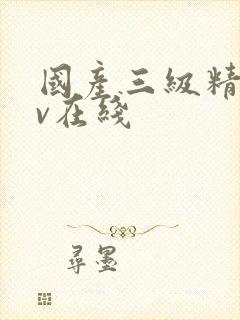 国产三级精品av在线