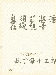 龚玥菲版潘金莲在线观看