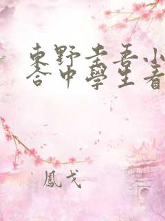 东野圭吾小说适合中学生看吗