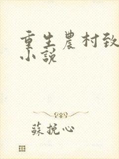 重生农村致富类小说