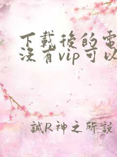下载后的电视剧没有vip可以看吗
