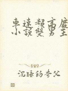 车速超高废文的小说双男主