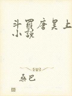 斗罗唐昊上唐三小说