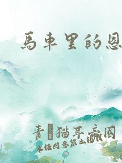 马车里的恩爱